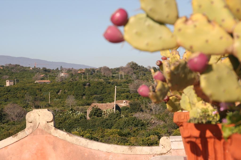Villa Dei Leoni Σάντα Τέκλα Εξωτερικό φωτογραφία