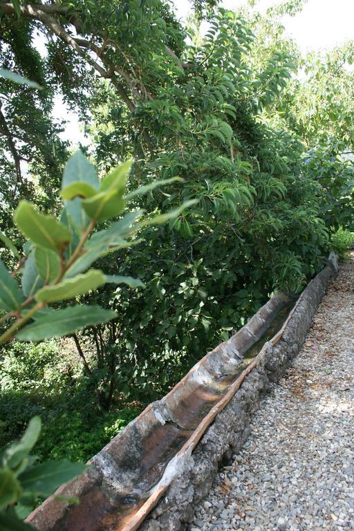 Villa Dei Leoni Σάντα Τέκλα Εξωτερικό φωτογραφία