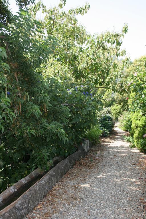 Villa Dei Leoni Σάντα Τέκλα Εξωτερικό φωτογραφία