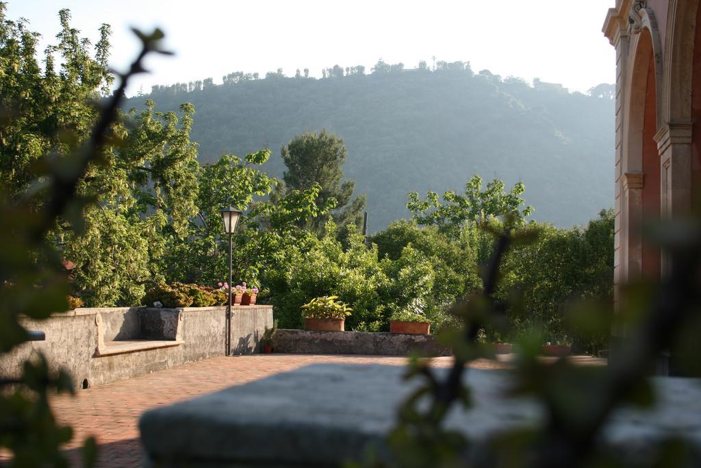 Villa Dei Leoni Σάντα Τέκλα Εξωτερικό φωτογραφία